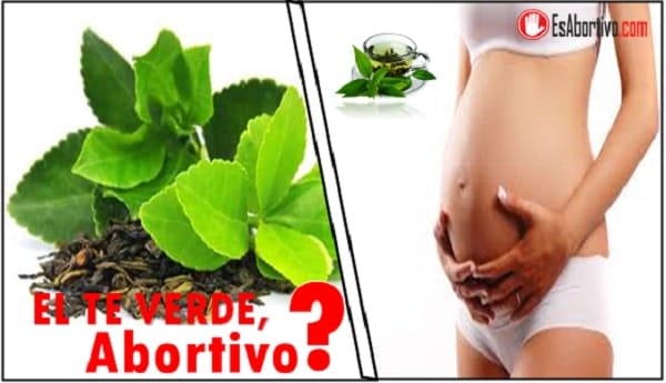 te verde embarazo