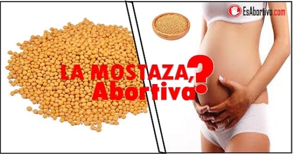 la mostaza provoca aborto