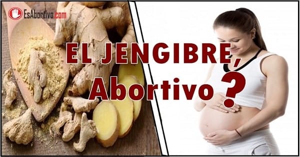 el jengibre es malo en el embarazo