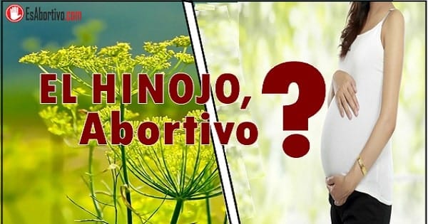 riesgos del te de hinojo en el embarazo