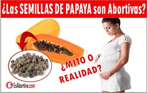 las semillas de papaya en el embarazo pueden causar un aborto